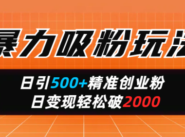暴力吸粉玩法,日引500+精准创业粉,日变现轻松破2000