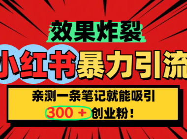 小红书炸裂玩法,亲测一条笔记就能吸引300+精准创业粉!