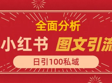 小红书图文引流,全面解析,日引100私域流量是怎样做到的