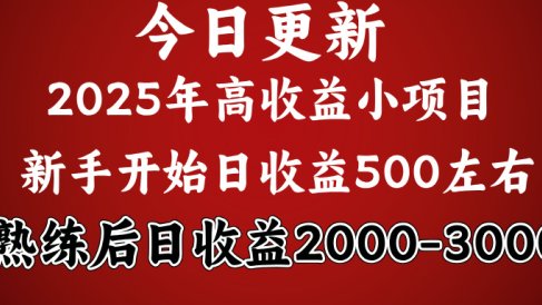 好项目一眼就能看出来，日收益1000，长久可做，2025拼的就是我比你勤奋