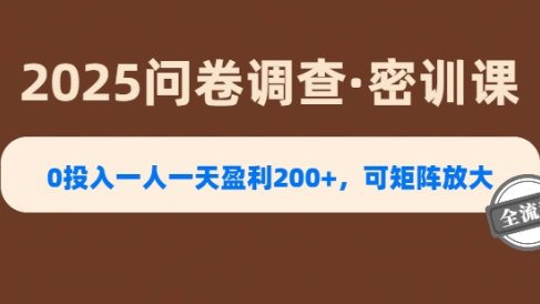 2025《问卷调查》0投入一人一天盈利200+,可矩阵放大