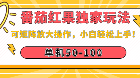 番茄红果独家玩法，单机50-100，可矩阵放大操作，小白轻松上手！