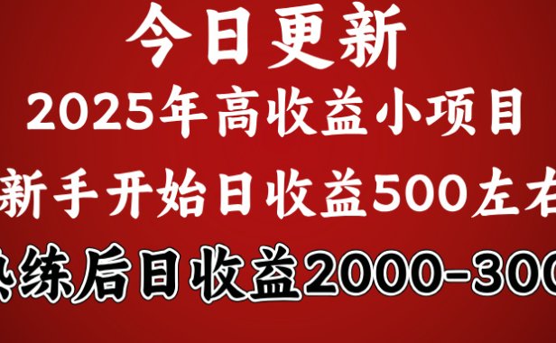 好项目一眼就能看出来,日收益1000,长久可做,2025拼的就是我比你勤奋