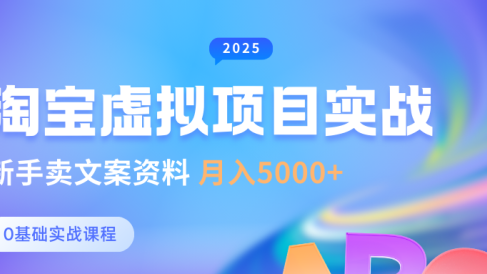 淘宝虚拟项目垂直玩法,新手卖文案资料,月入5000+