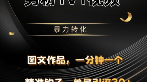 男粉1V1视频，硬改摄像头，高客单暴力转化，单日600+