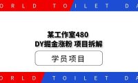 某工作室480掘金涨粉工具项目拆解