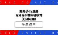 野路子dy注册百分百不跳实名核对（已测可用）
