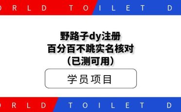野路子dy注册百分百不跳实名核对（已测可用）