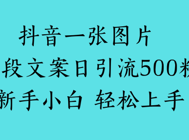 抖音一张图片 一段文案日引流500粉新手小白 轻松上手