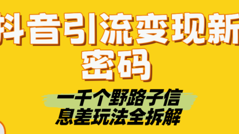 抖音引流变现新密码!一千个野路子信息差玩法全拆解
