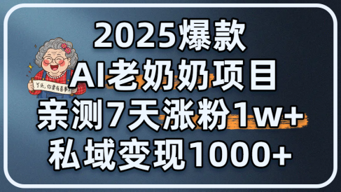 2025爆款 AI 老奶奶项目：亲测 7 天涨粉 1W+，私域变现 1000+
