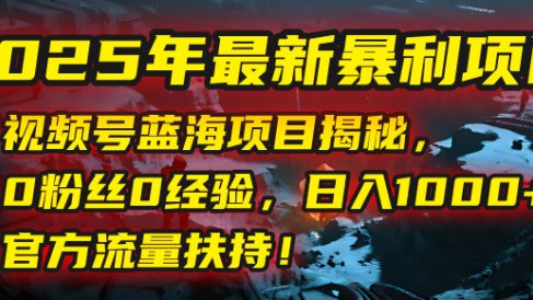 2025年最新暴利项目:视频号蓝海项目揭秘,0粉丝0经验,日入1000+,官方流量扶持!