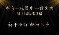 抖音一张图片，一段文案日引流500粉，新手小白 轻松上手
