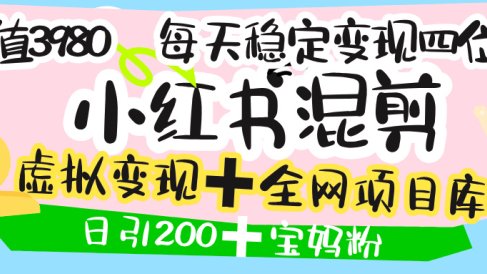 价值3980的小红书混剪, 虚拟变现 +全网项目库 , 日引200+宝妈创业粉,每天稳定四位数变现