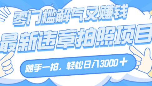 解气又赚钱的项目,随手一拍,轻松收入3000+,最新违章拍照赚钱