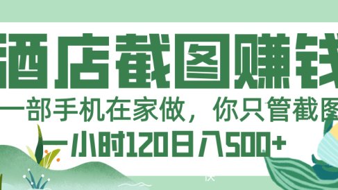 美团酒店截图,一部手机在家做,你只管截图,一小时 120,一天 500+