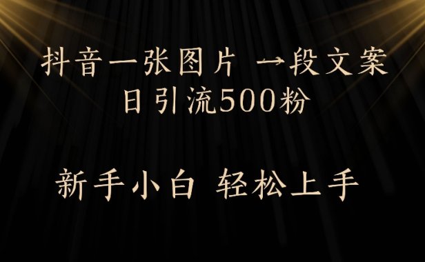 抖音一张图片,一段文案日引流500粉,新手小白 轻松上手