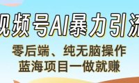 视频号AI暴力引流：零后端、纯无脑操作，蓝海项目一做就赚！【下面那个链接失效了】