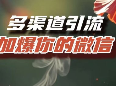 多渠道引流，加爆你的微信，把流量导入到私域，这是每一个想要在互联网赚钱的人必须掌握的底层能力