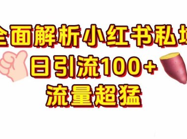 小红书私域引流 每天加100+