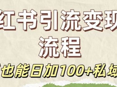 保姆级教程：小红书引流变现全流程，新手也能日加100+私域好友