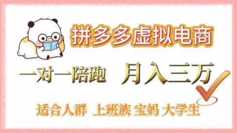 拼多多虚拟电商，一对一陪跑，月入3万，0囤货，轻资产，不发货