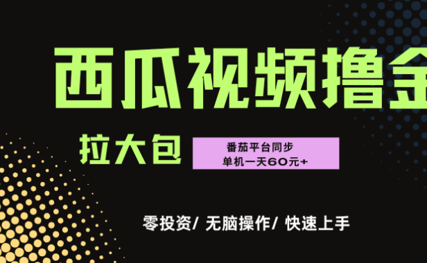 西瓜，番茄，撸金项目，单机一天轻松60元+，可无线放大化去做，零投资