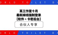某工作室十月最新掉线强制登录【附带卡密后台】