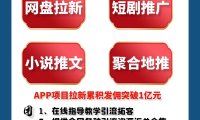 任推邦网盘拉新妙招：活动激励携手佣金置顶促增长