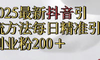 2025最新抖音引流,方法每日精准引流创业粉300＋