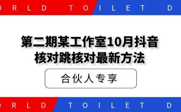 第二期某工作室10月核对跳核对最新方法