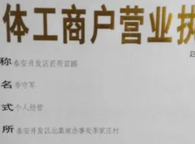 个体户营业执照代办 电商开店专用 无需到场 全国通用电子执照