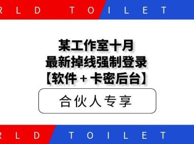 某工作室十月最新掉线强制登录【附带卡密后台】