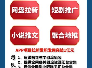 任推邦，多平台网盘推广，实时结算无忧