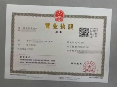 海南个体恢复接单  白菜价  70岁都可以注册下证