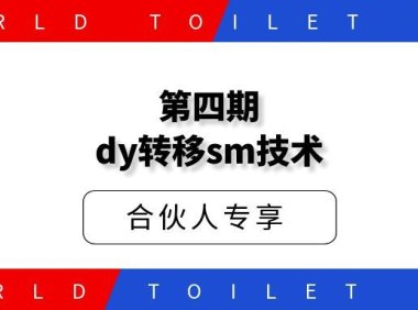 第四期十月dy转移sm技术
