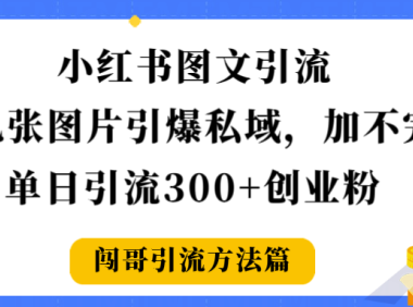小红书图文引流，几张图片引爆私域加不完，单日引流300＋创业粉