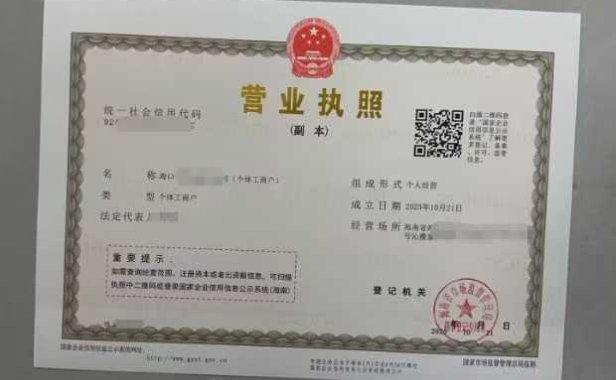 海南个体恢复接单  白菜价  70岁都可以注册下证