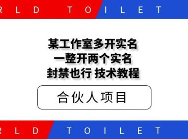 某工作室多开SM，一整开两个SM，封禁也行，技术教程