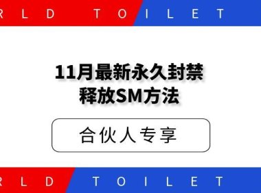 11月最新永久封禁释放SM方法