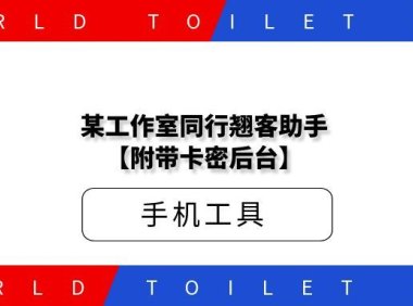 某工作室同行翘客助手【附带卡密后台】