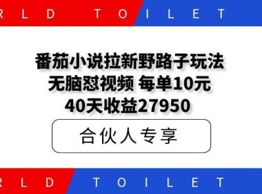 番茄小说拉新野路子玩法!无脑怼视频,每单10元,40天收益27950