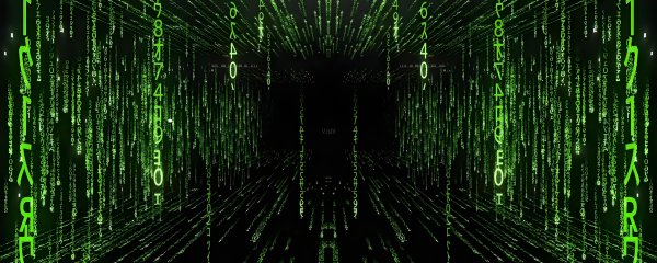 私域社陪跑合集