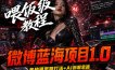 微博蓝海项目1.0_各种Sao操作整理+AI引流拆解，喂饭级教学