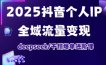 抖音个人IP全域流量变现进阶课，deepseek千川爆单进阶课(更新2026年05月)
