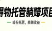 26年6月必做！得物视频激励项目，全自动运营单号月利润3600+