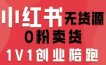 小红书无货源0粉电商课，开店准备、选品策略、笔记撰写、视频剪辑、数据分析、账号打造、资料文档(更新26年3月16日)