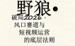 野狼团队·多平台实操运营课，覆盖AI口播、服装、好物、漫剪等热门玩法(更新4月29日)