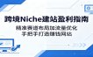 跨境Niche建站盈利指南：精准赛道布局加流量优化，手把手打造赚钱网站