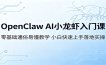 OpenClaw AI小龙虾入门课：零基础通俗易懂教学，小白快速上手落地实操